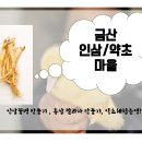 개삼터인삼농원