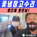 수원 꽃냉장고수리 콤프레셔 고장 수리로 쌍다봉 받은날!