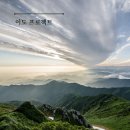 (주)라임