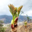 산의향기식당 네이버블로그