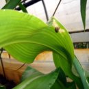 한솔이네농장 이미지