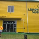 레몬뮤지엄(Lemon Museum)
