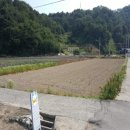 대곡면-11 이미지