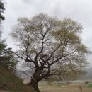 사평마을회관 이미지