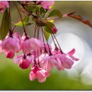 김포 다도박물관 이미지