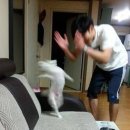 난조아 이미지