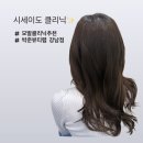 민정뷰티샵 | 강남역 미용실 추천 | 박준뷰티랩 강남점 시세이도 클리닉 추천