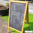 야옹이돈까스 이미지