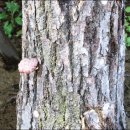 법수민박 이미지