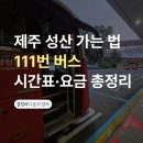 동해병원~(구)고속버스터미널 | 제주 111번 버스 2024 개편 후 공항 성산 노선 총정리