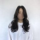 인 더 헤어 네이버블로그
