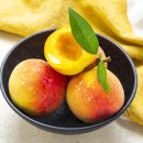 달콤한 푸른농장 이미지