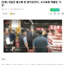 과일 시세 폭등에 건설사 철강회사 2600억 이익 이미지