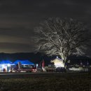 논산 부인당제 이미지