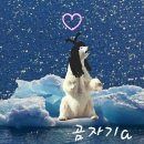 누니보배