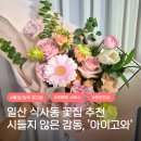 위시티4로 | 일산 식사동 꽃집 시들지 않는 감동, '아이고와' 내돈내산 졸업식 꽃다발 후기