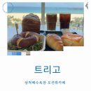 삼척해수욕장 카페 트리고 오션뷰 전망 간단한 브런치 추천 후기