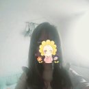 크레이지포맨 | [겟잇뷰티 머리볼륨넣기 방법 추천] 다슈 데일리 뽕채가루 사용후기