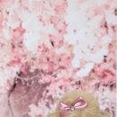 흥부공인중개사사무소 이미지