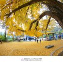 하곡마을 이미지