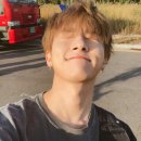 머그면 돼지 이미지