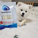 다다덴탈 이미지