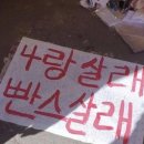 돈파민