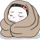 남이섬힐링캠핑장 이미지