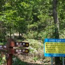 강촌 삼거리 이미지