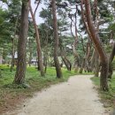 갈계숲화장실 이미지