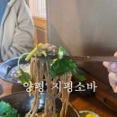 [양평/용문] 숨겨진 소바맛집 &#39;지평소바&#39; (feat. 제발 오픈런 하지 말라는 사장님)