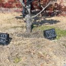 현풍개발(주) 네이버블로그