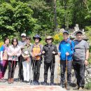 오서산자연휴양림 이미지