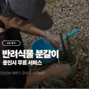 용토농장 | 용인시 반려식물 무료 분갈이 서비스 (공세동 시민농장)