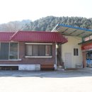토속콩사랑