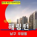 우암동 효성 해링턴 마레 부산 북항 아파트 특별공급 타입별 분양 가격 문의 모델하우스 방문 사전예약 안내 이미지