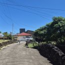 곽지머물다 이미지