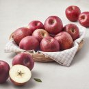 영주할인마트 | 영주마실 못난이 사과 소과 26~30개입, 4.5kg, 1박스 추천 및 구매 정보