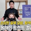 하임 염색 이미지