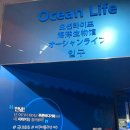 트렌디플라넷 이미지