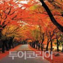 물드네