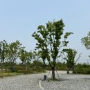 평택항 국민여가캠핑장 이미지