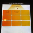 구수해 - 4988 | [수원] 규카츠정 영통점 - 겉바속촉 규카츠 타마고텐동정식, 규카츠 매운카레정식 후기