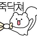 짐델타 이미지