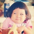 대륙밧데리 이미지