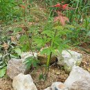 초월농장(2) 이미지