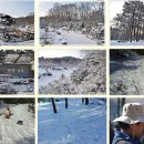 부광 농장 이미지