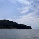 마린리치 이미지