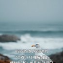 미가 티스토리