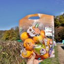 초월농장 이미지